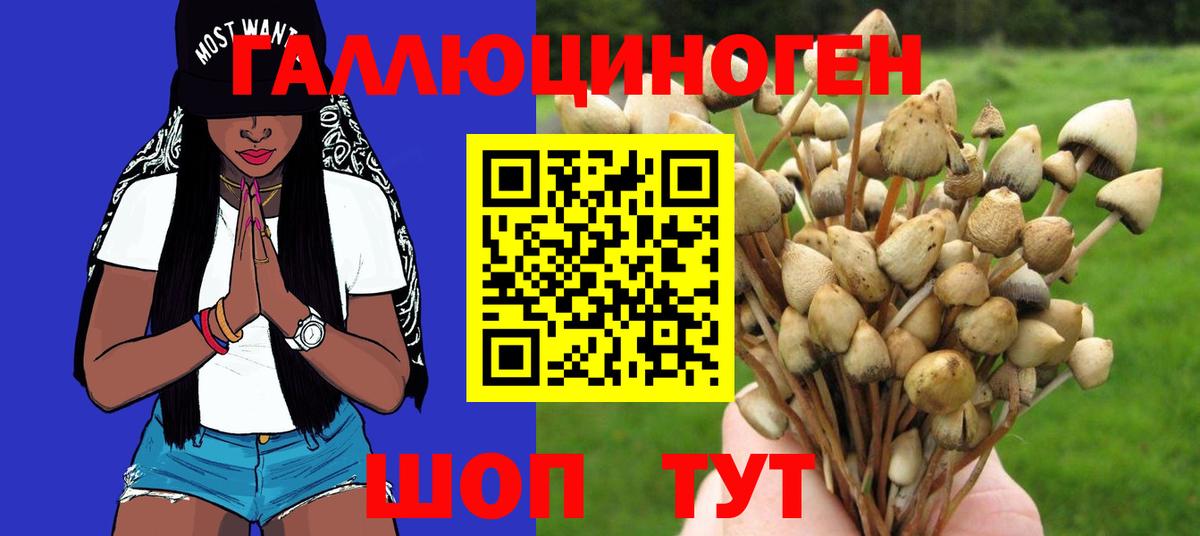 Комсомольск-на-Амуре  Псилоцибиновые грибы мицелий  Вход с VPN 