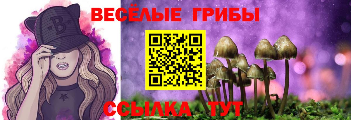 Псилоцибиновые грибы прущие грибы Комсомольск-на-Амуре